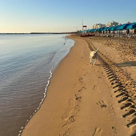 Sul Mare *